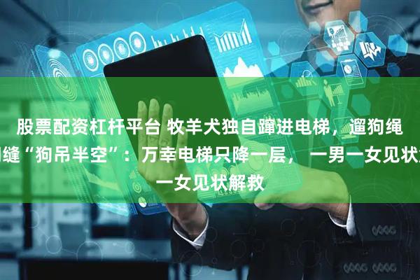 股票配资杠杆平台 牧羊犬独自蹿进电梯,遛狗绳夹门缝“狗吊半空”:万幸电梯只降一层, 一男一女见状解救