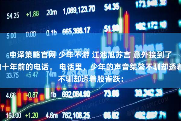 中泽策略官网 少年不游 江池旭苏言 意外接到了一通来自十年前的电话。 电话里,少年的声音桀骜不驯却透着股雀跃: