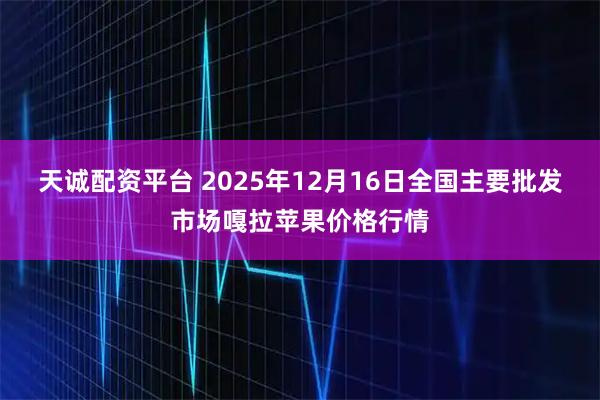 天诚配资平台 2025年12月16日全国主要批发市场嘎拉苹果价格行情